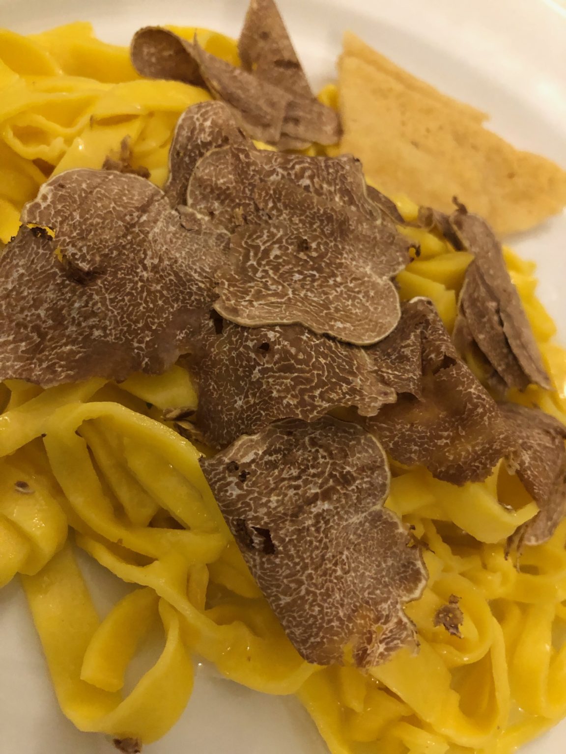 Bologna Cooking Classes & Truffle Hunt by Cooking Vacations