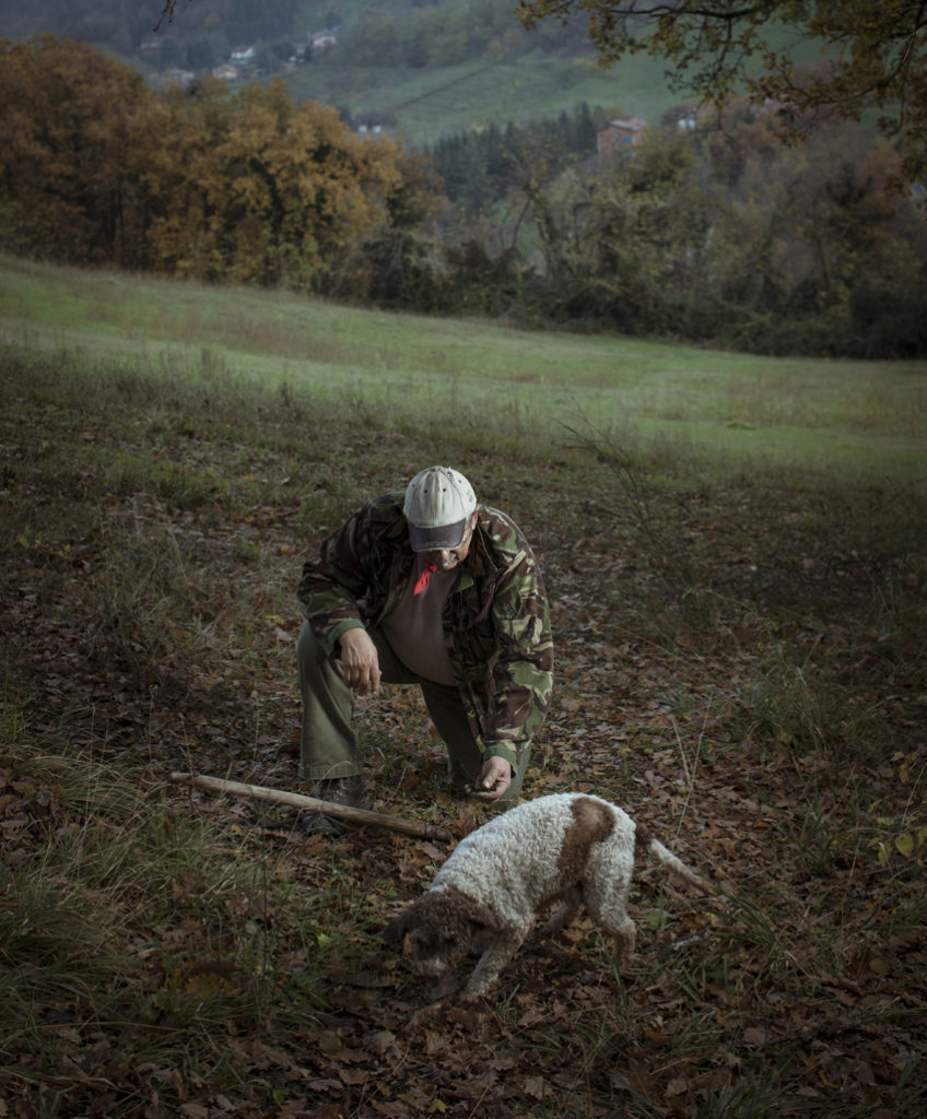 Bologna Cooking Classes & Truffle Hunt by Cooking Vacations