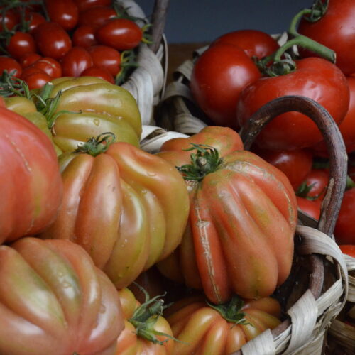 Pomodoro Ripieno Arrosto - Cooking Vacations